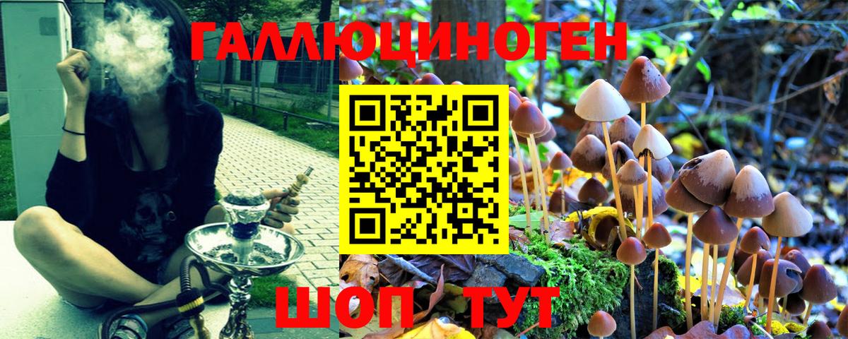Галлюциногенные грибы прущие грибы Электрогорск